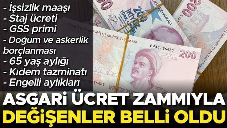 Asgari ücret zammıyla değişenler belli oldu… İşte yeni işsizlik maaşı, staj ücreti, GSS primi, doğum ve askerlik borçlanması, 65 yaş aylığı, kıdem tazminatı, engelli aylıkları
