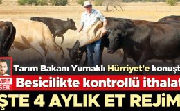 Besicilikte kontrollü ithalat… Hayvan ithalatında özel sektör olmayacak hayvanlar 4 ay satılamayacak