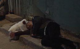İNCİ TANELERİ 1. BÖLÜM İZLEME EKRANI | İnci Taneleri ilk bölüme damga vuran soru: Azem eşini öldürdü mü? İşte yeni bölüm fragmanı!