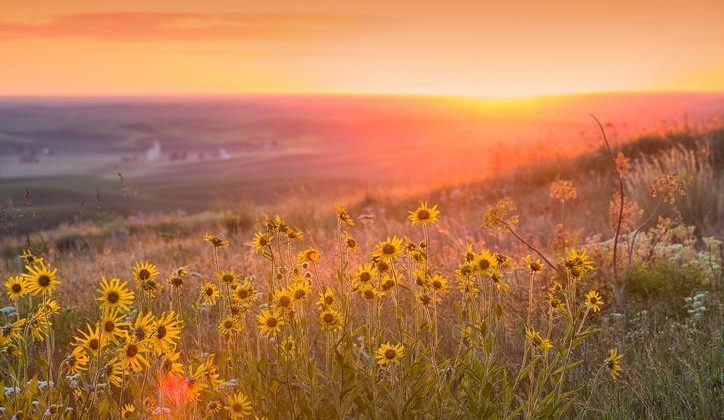 Hıdırellez Bayramı kutlama tarihi Mayıs 2024 || Hıdırellez nedir, ne zaman kutlanır, ritüelleri neler?