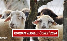 Kurban vekalet ücreti 2024 | Bu yılki vekaletle kurban kesim bedeli ne kadar oldu? Yurt içi ve yurt dışı vekalet kurban kesim ücretleri belli oldu!