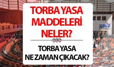 Torba Yasa ne zaman çıkacak? 2024 Torba Yasa maddeleri ile 3600 ek gösterge, taşerona kadro, Bağkur prim gün sayısı beklentisi sürüyor