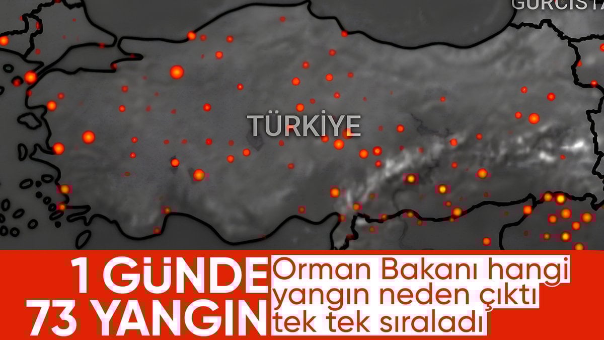 Bakan Yumaklı, yangınların çıkış nedenini açıkladı: Anız, piknik ateşi, sigara..