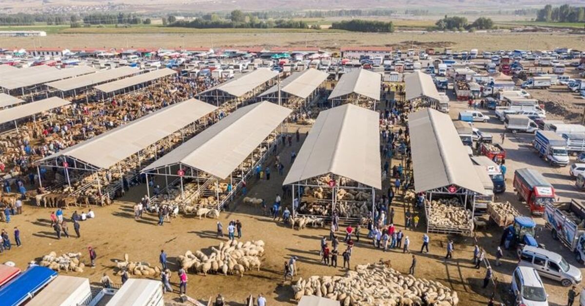 Türkiye’nin en büyük hayvan pazarı ‘şap’ nedeniyle kapatıldı