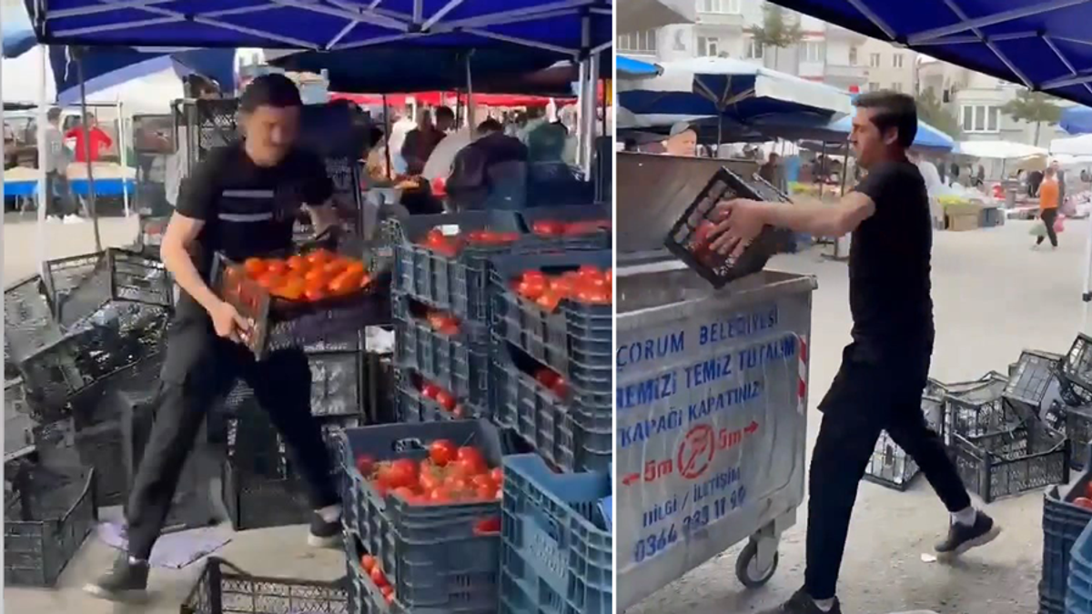 Çorum’da domatesleri çöpe döken pazarcıya milyonluk para cezası